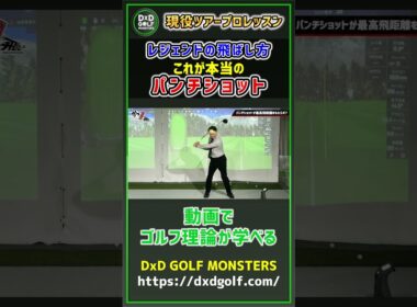レジェンドの飛ばし方 これが本当のパンチショット #ゴルフ #shorts