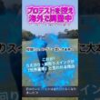ネリーコルダと同じ縦振りスイングでプロへ駆け上がれ‼️ #ゴルフスイング基本 #ゴルフ初心者 #ゴルフ