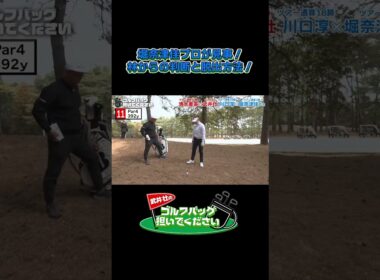 【堀奈津佳プロが見事！ 林からの判断と脱出方法！】武井壮のゴルフバッグ担いでください/#武井壮#プロキャディー #golf #ゴルフ #shorts #切り抜き #プロゴルファー#堀奈津佳