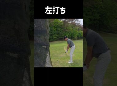 左打ち#golfshorts #golfswing #golf #ゴルフ #ゴルフスイング