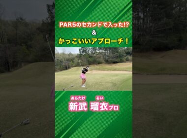 こんなかっこいいアプローチ…惚れてまうやろー！ #ゴルフ #マイゴルフ