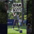 Adam Scott #golfswing