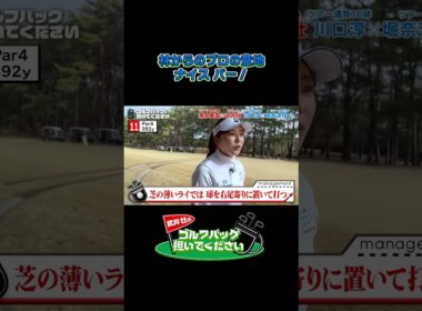 【林からのプロの意地！ナイス パー！】武井壮のゴルフバッグ担いでください/#武井壮#プロキャディー #golf #ゴルフ #shorts #切り抜き #プロゴルファー#堀奈津佳