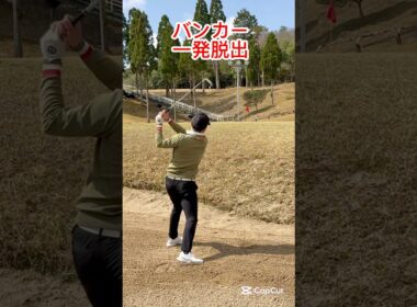 バンカー職人、その秘訣は？#ゴルフレッスン #ゴルフ #ゴルフスイング #golf #shorts