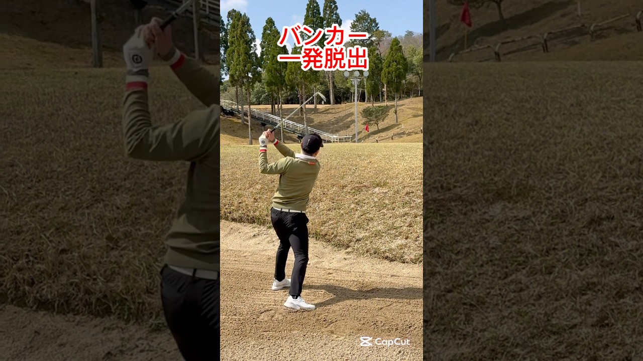 バンカー職人、その秘訣は？#ゴルフレッスン #ゴルフ #ゴルフスイング #golf #shorts