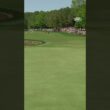 Just Tiger doing Tiger things. 😭