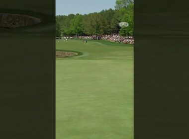 Just Tiger doing Tiger things. 😭