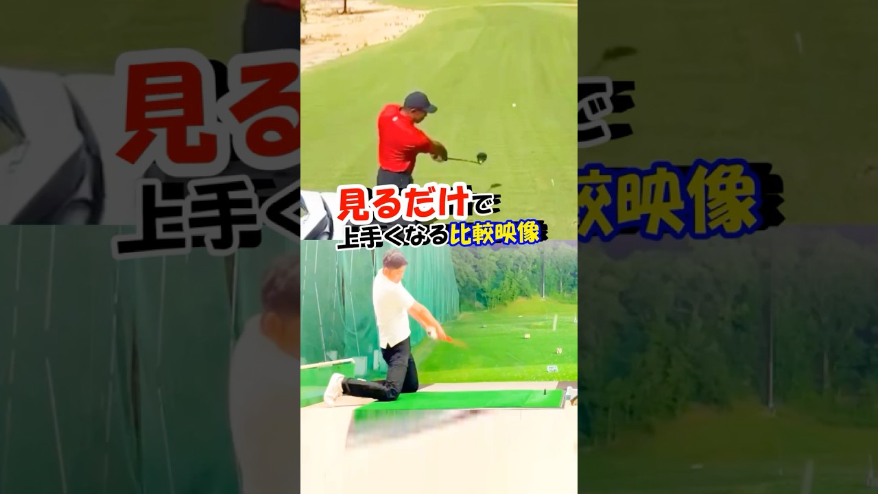 タイガーと比較したらとんでもない結果になりました #WGSL #ベタ足スイング #前倒し