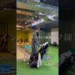 インドアゴルフ練習⛳️ #ゴルフ #スイングトップ #ゴルフウェア #ゴルフ女子 #ゴルフスイング