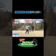 【堀奈津佳の完璧ドライバー】武井壮のゴルフバッグ担いでください/#武井壮#プロキャディー #golf #ゴルフ #shorts #切り抜き #プロゴルファー#堀奈津佳
