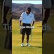 Tiger Woods made me do THIS..