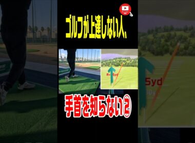 【ゴルフスイング】ゴルフが上達しない人、手首を知らない２。　#マキロイ #rorymcilroy #golf  #golfswing #ゴルフ  #shorts