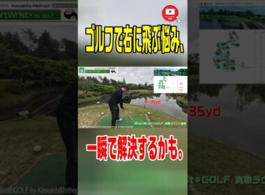 【ゴルフスイング】右に飛ぶ悩み、一瞬で変わるかも。　#マキロイ #rorymcilroy #golf  #golfswing #ゴルフ  #shorts