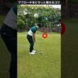 アプローチを寄せる基本のやり方 #ゴルフレッスン #てらゆー