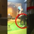 【必見】元女子ドラコン世界チャンピオン！公式最長飛距離342yd ！ドライバーで飛距離を伸ばすスイングのコツ！　ゴルフレッスン　スライス防止　　#short #shorts #shortsvideo