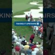 Tiger flop shot‼️