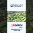 【全米女子26】岡本綾子さんに質問「最近プレーしてますか？」