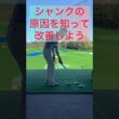 そのまま放っておくとシャンクは治りませんよ#ゴルフ #ゴルフスイング #ゴルフレッスン #golf #golfswing #golfer #shorts #short #shortvideo