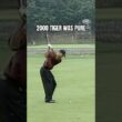 Swings from Tiger’s final round of the 2000 Canadian Open. This win was his 9th (!!!) of the season.