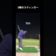 3種のスティンガー #ゴルフ