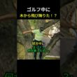 木の上からショット！？まさかの選択 #ゴルフ