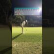亀山ゴルフクラブ　No.11 ナレーション　# #ゴルフ # #スイングトップ # #ゴルフ動画 #golf #golfswing