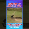 全英速報！松山英樹のスーパーリカバリーショット！この体勢からココまで寄せる！【ゴルフ】【PGA】