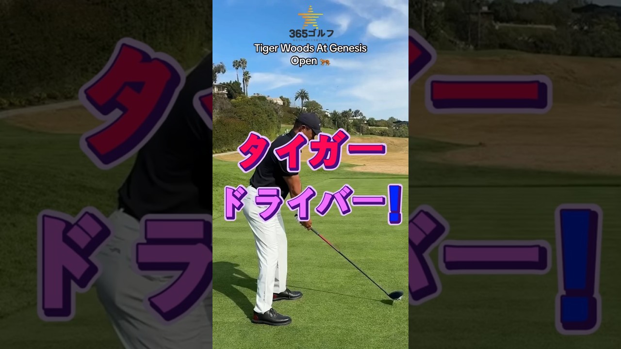 ゴルフ タイガー・ウッズのドライバースイング
