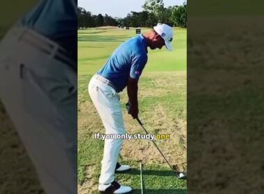 Why Adam Scott's swing is perfect #golf #golfswing #pga