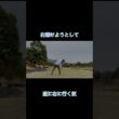 右避けようとして右に行く奴 #ゴルフ #ゴルフラウンド動画 #golf#ドライバー#ティーショット#プッシュ