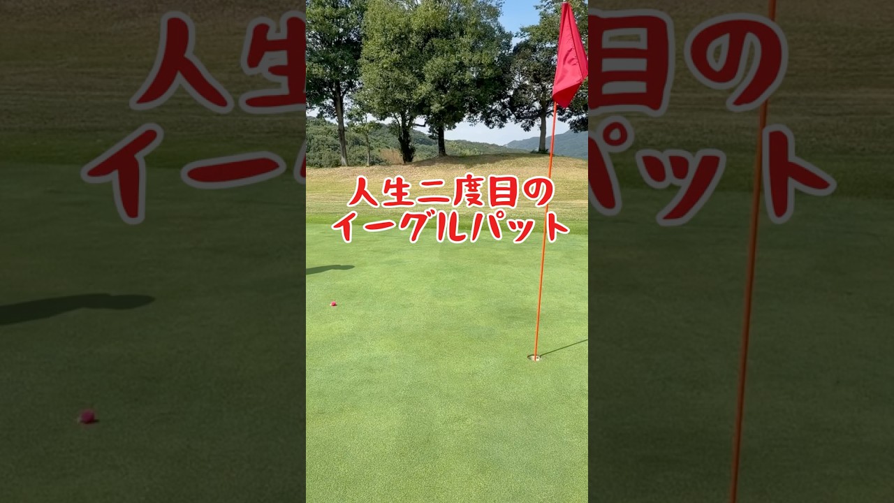 ミギーさんの人生2度目のイーグルパット #pgaティーチングプロ #ゴルフ #ゴルフスイング