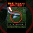 誰も気づかなかった衝撃の2打罰！