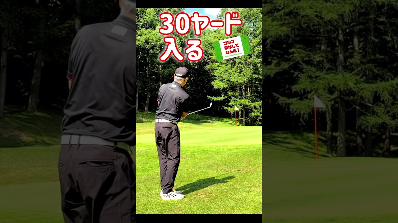 30ヤードアプローチ入る‼︎ #ゴルフ #ゴルフレッスン #golf