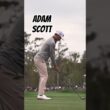 Adam Scott #golfswing