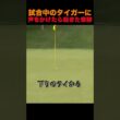 試合中のタイガーに声をかけたら起きた奇跡…
