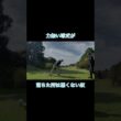 落ちた所は悪くない奴 #ゴルフ #ゴルフラウンド動画 #golf#ドライバー#ティーショット#右プッシュ
