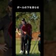 タイガーの何気ないショットがやばい #ゴルフ