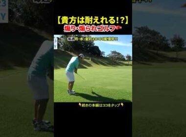 【罵倒ゴルフ開催⛳️】メンタル崩壊🫣 #ゴルフ #golf #ラウンド #パラゴルTV