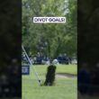 The GREATEST divot ever 😍