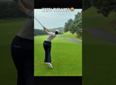 고양이 있었던 것 눈치채신 분? 유현주 프로 스윙