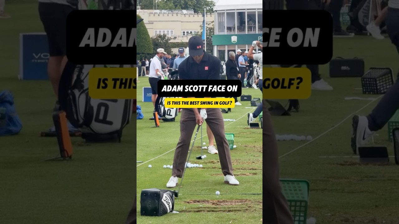 Is Adam Scott’s Driver Swing the Best in Golf? 👀 #golf #golfer #golfswing
