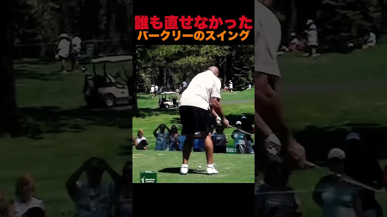 誰も直せなかった、バークリーのスイング