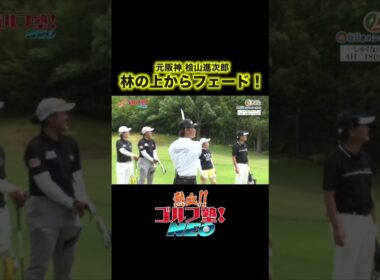 元阪神 桧山進次郎がプロ達も絶賛の林越えナイスショットを放つ！