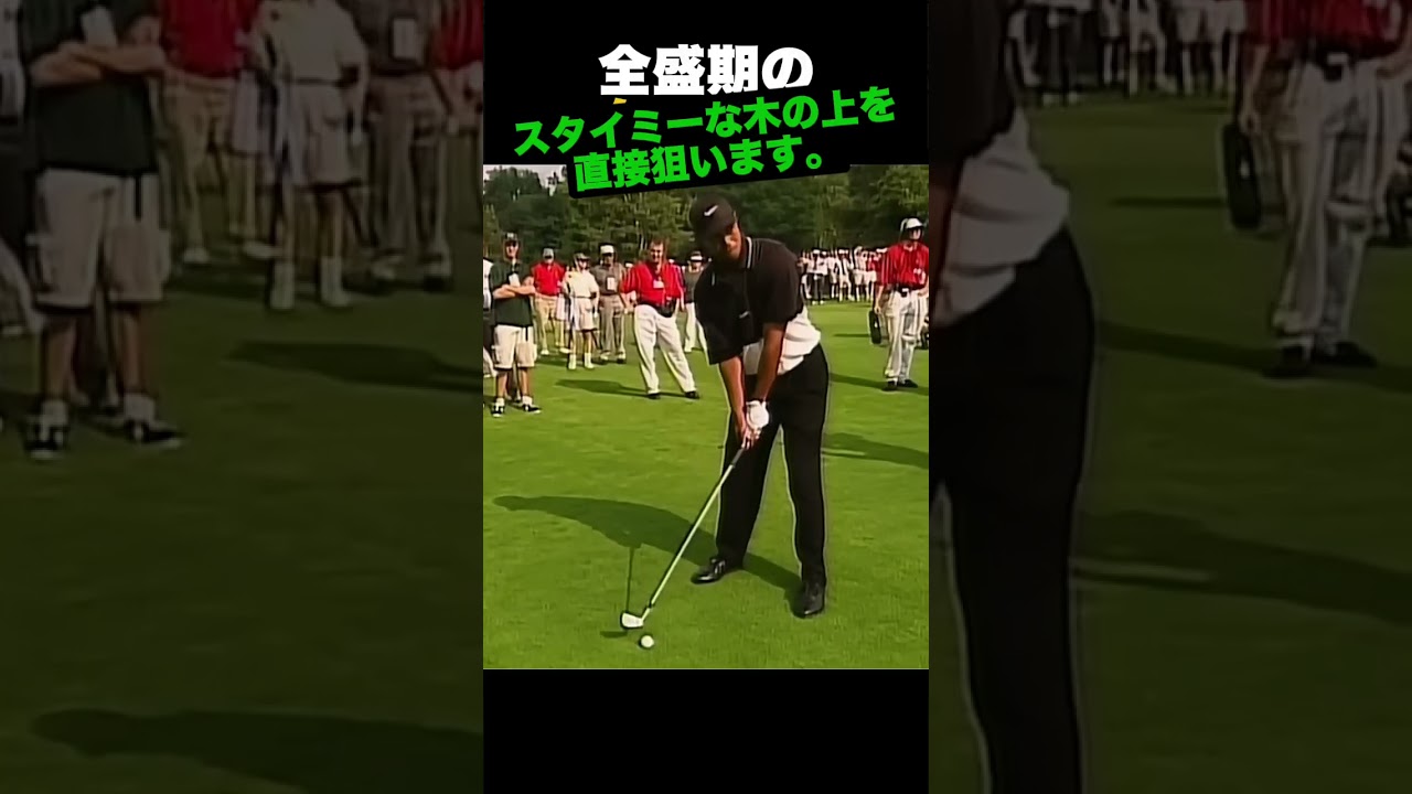 全盛期のタイガー