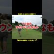 【シングルの日常】 #ラウンド #ゴルフ #golf #ゴルフスイング #パラゴルタTV