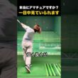 本当にアマチュアですか？一日中見ていられます