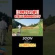 87歳じいじ達のほのぼのラウンド#soongolf#ゴルフ#ほのぼの#じいじ#健康