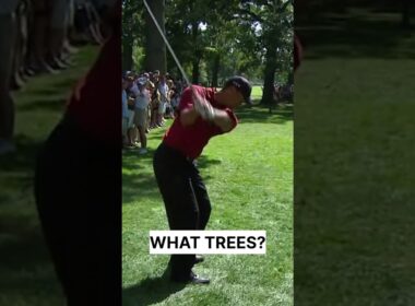 Tiger Woods CRAZIEST Crowd Escape 🔥