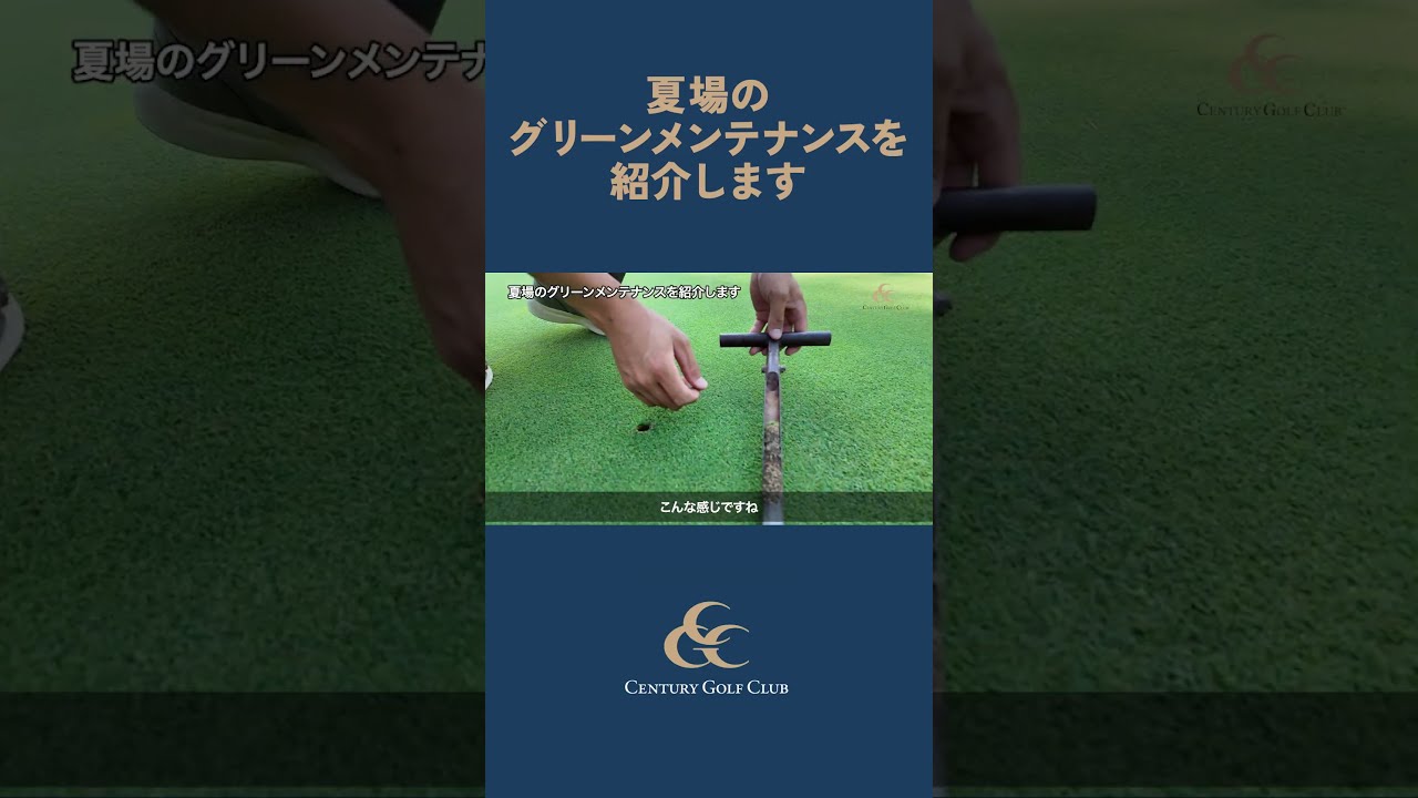 【コース管理直伝！vol.4】夏場のグリーンメンテナンスを紹介します #ゴルフ #センチュリーゴルフクラブ #shorts