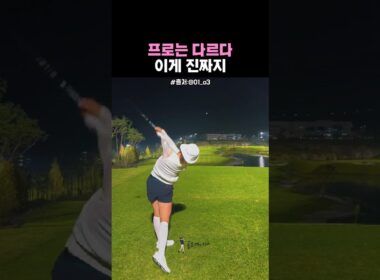 이게 진정한 230M